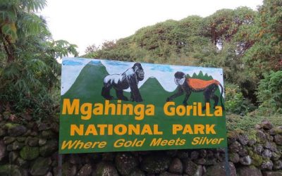 Mgahinga Gorilla National Park