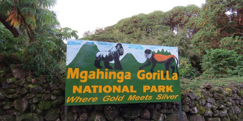 Mgahinga Gorilla National Park