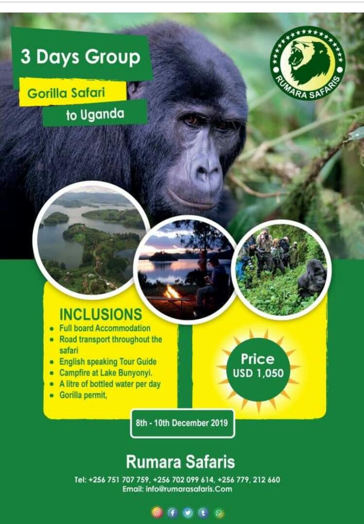 3 days gorilla trekking