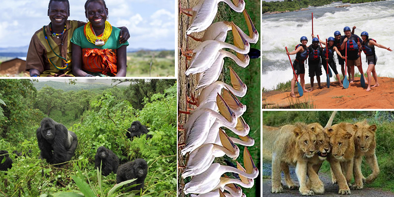 5 main reasons why visiting Uganda should not miss on your bucket list this year