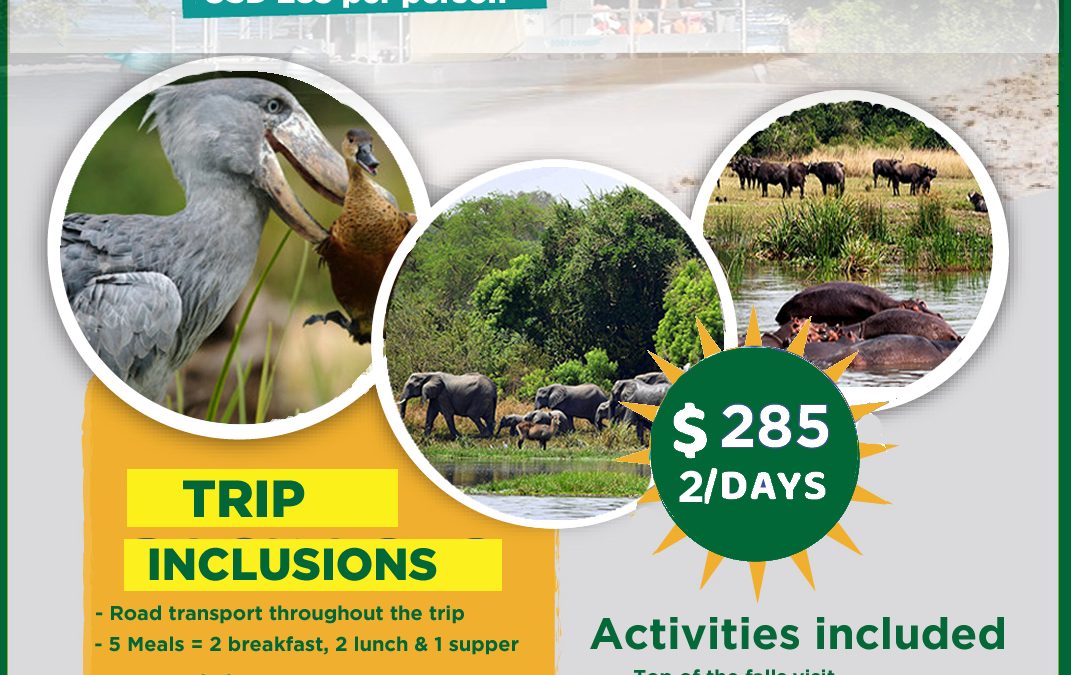 2 days thrilling group safari to Murchison Falls National Park, Uganda