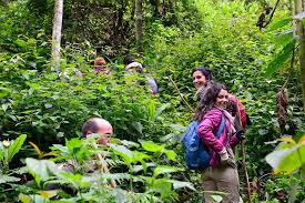 Queen Elizabeth best uganda safari